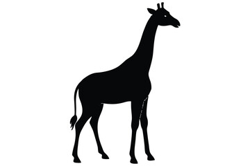 Fototapeta premium giraffe silhouette vector icon