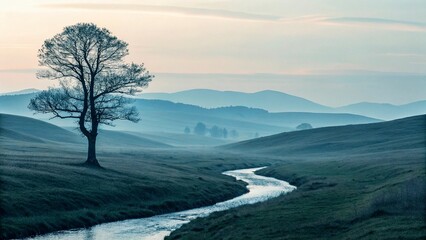 Lonely tree in the meadow in the morning mist.