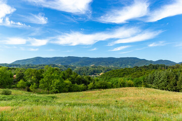 Hilly summer landscape