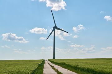 Wind turbine with red tipped blades stands beside cultivated wheat farmland and straight concrete...