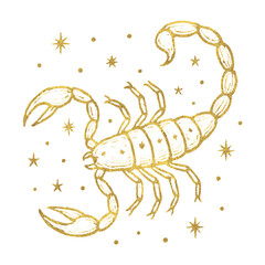 Obraz premium Golden scorpion amidst stars vector