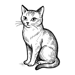 Fototapeta premium Vintage cat ink drawing vector
