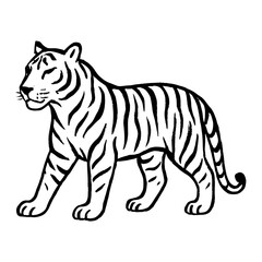 Obraz premium Elegant tiger line art illustration vector