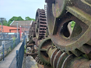 Close-up of large rusty industrial gears outdoors, covered in moss and cobwebs. A striking detail shot highlighting decay, texture, and the remnants of old engineering machinery.