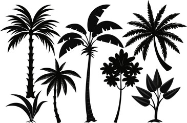 6 Exotic Tropical Tree Silhouette Vector Set