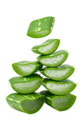 Isolated Sliced Aloe Vera Stack Plant Green Herb Medicine on Transparent