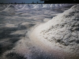 Sea salt harvested in traditional salt field, close-up of natural white crystals under sunlight 