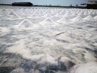 Rows of sea salt mounds in traditional salt fields, natural evaporation process under clear sky 