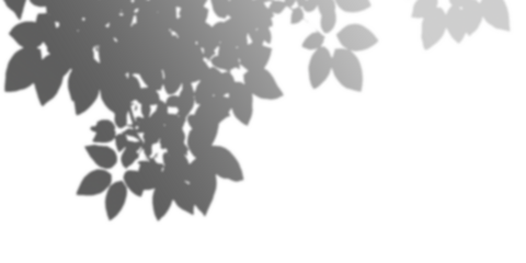 Abstract grayscale floral leaf shadows, botanical art, dark background