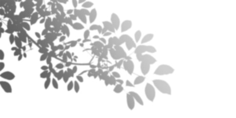 Grayscale Floral Branch Silhouette Artistic Botanical Leaf Design