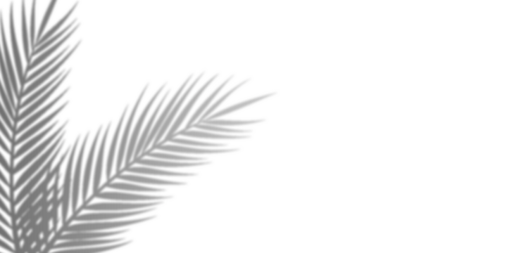 Abstract Gray Feathers on Black Background, Artistic Design