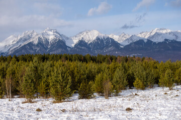 Snow-covered mountains rise majestically above a dense forest of evergreen trees, creating a...