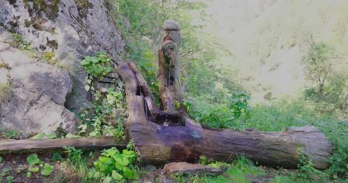 Wooden source of water in nature