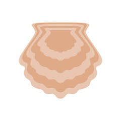 brown seashell vector