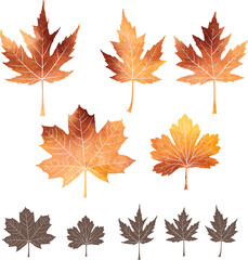 Autumn leaves collection. Vector colorful foliage with watercolor texture. Isolated decoration elements in brown colors