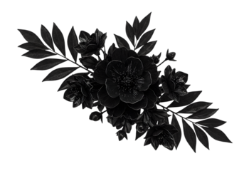 Isolated Black Floral Bouquet On Transparent Background Monochrome Design