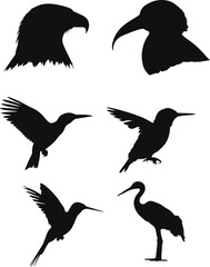 Fototapeta premium Collection of Bird Silhouettes Eagle, Toucan, Hummingbird, Heron