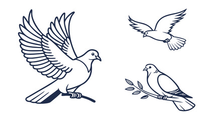 Three stylized dove outlines representing peace and freedom in flight and perched