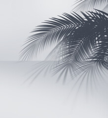 Tropical coconut branch shade, foliage silhouette decoration. Shadow from palm leaves isolated on transparency background. 