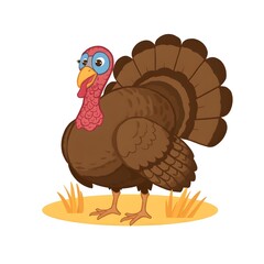 Cartoon Turkey Wearing Glasses Stands on a Patch of Grass