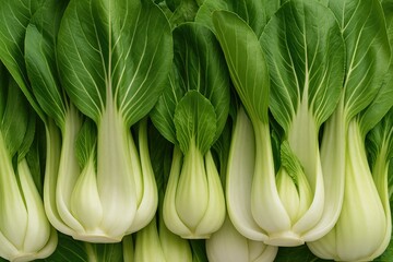 A photo showcasing bok choy, also known as pak choi or pok choi, a widely enjoyed Chinese cabbage variety in Southeast Asia