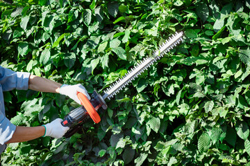 Hedge Trimmer on Green Background. Handheld Shrubbery Power Cordless Trimmer Shrub Shears. 