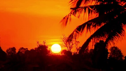 Time lapse of dramatic sunset over a tropical tree with orange sky in a sunny day. Big Sun with Clouds sunrise timelapse 4K Time lapse of the sun setting