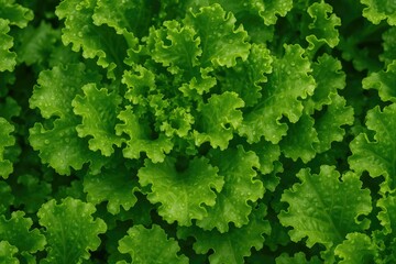 Top-down view of fresh organic vegetables with a neutral background
