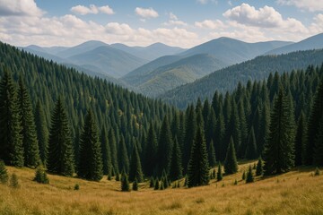 Autumnal scene of lush coniferous forests nestled within the mountainous terrain