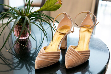 calzado, boda, moda, par, elegancia, tacones, beldad, alto, mujer, los pies, estilo, novia,...