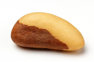 A single delicious Brazil nut on a white background