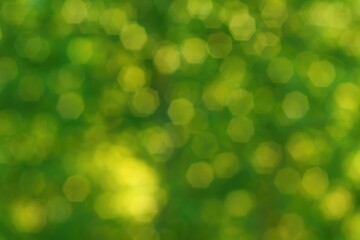 Fototapeta premium Creative background with natural square bokeh using a manual focus lens