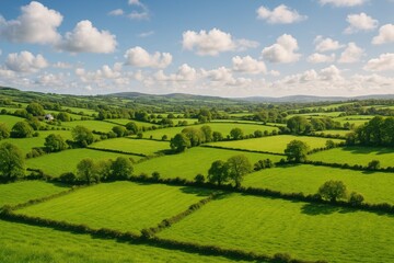 Obraz premium Scenic rural landscape during springtime in a lush green setting