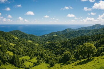 Obraz premium A sweeping vista of lush greenery with the vast ocean in the distance