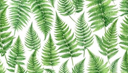 Watercolor fern pattern (2)