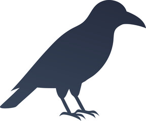 Fototapeta premium crow bird with white background