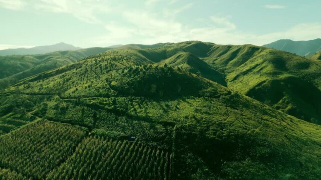 Bukit Premium, East Java, Indonesia Aerial Footage