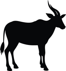 eland with white background