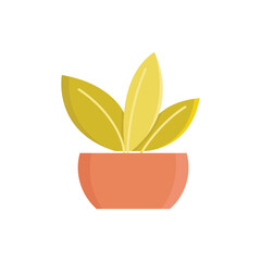 vector houseplant pot icon vector illustration