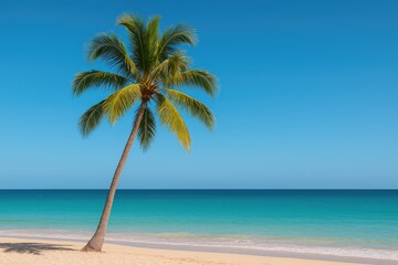 A tropical scene featuring a palm tree under a clear blue sky