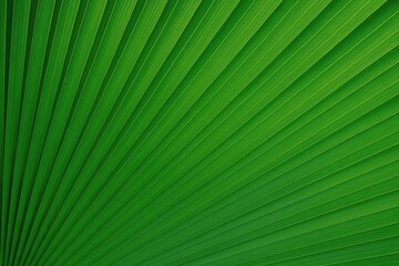 Tropical foliage design with lush green backdrop
