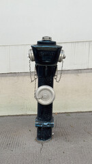Viena, Austria - May 05, 2025: Black fire hydrant with silver fittings, positioned against a...