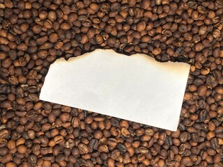 White burnt texture paper strip brown coffee beans frame