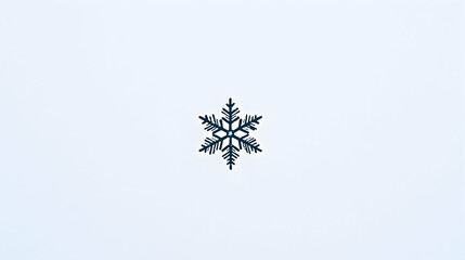 Simple snowflake design on a light background