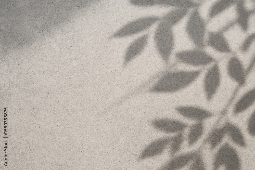 Poster abstract sunbeam effect with shadow and leaf patterns on a cement surface for product showcase, feat