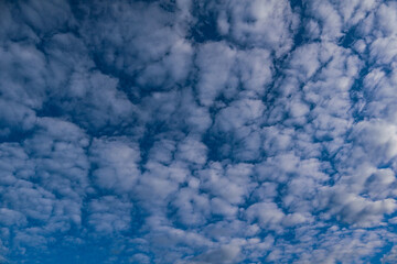 Nature background of sky with blue clouds on sunset. Beautiful cloud above dramatic blue sunset sky.