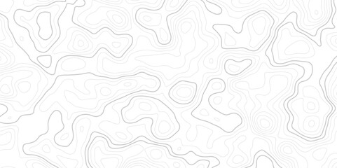 Abstract white topographic contour map background with soft gray lines forming organic, wavy patterns. Ideal for geographic designs, scientific visuals, or modern minimal backdrops.