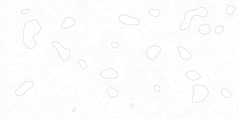 Abstract white topographic contour map background with soft gray lines forming organic, wavy patterns. Ideal for geographic designs, scientific visuals, or modern minimal backdrops.