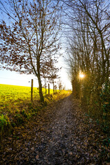 Fototapeta premium Winter landscape near Wuppertal. Hiking trail in nature. 