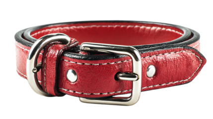 Stylish red leather pet collar with silver buckle.